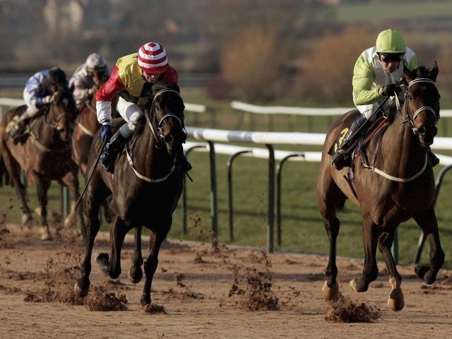 There is action on the fibresand at Southwell on Tuesday